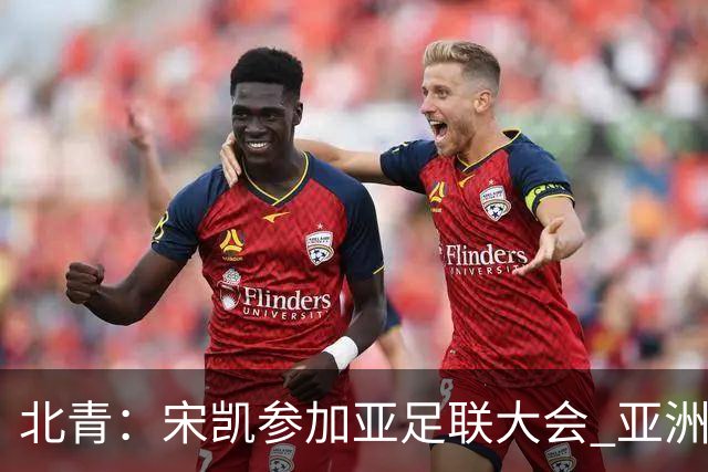 北青：宋凯参加亚足联大会 亚洲杯不存在易地举办可能