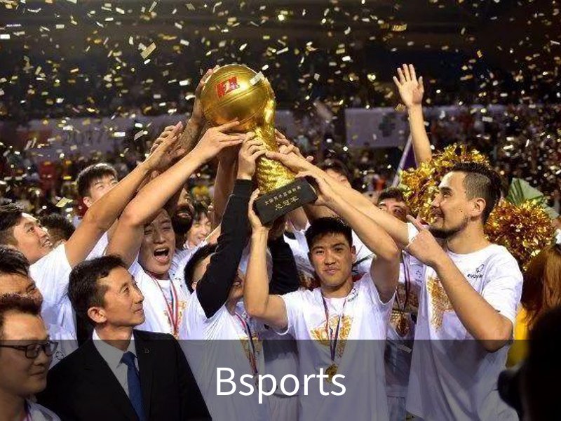 了解Bsports
